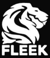 Fleek Motors